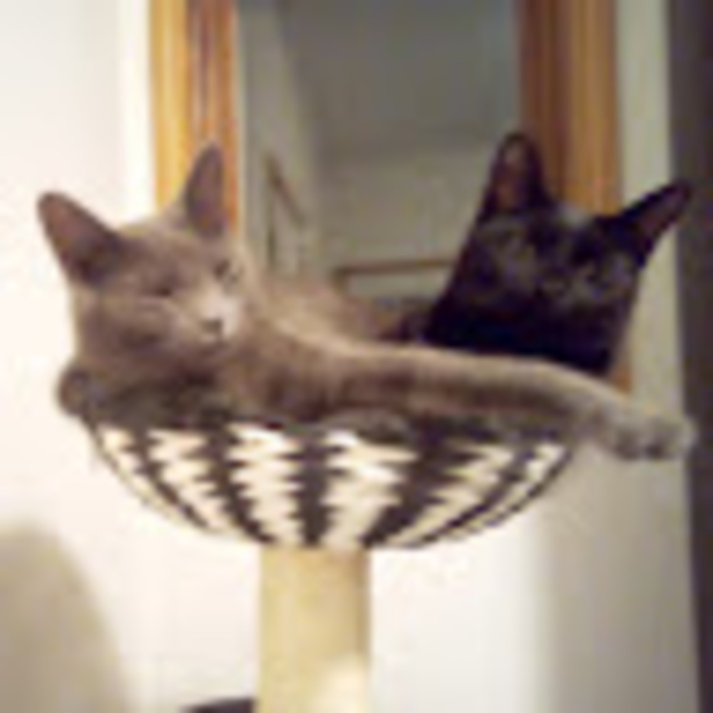 Meet your Posher, Matthew